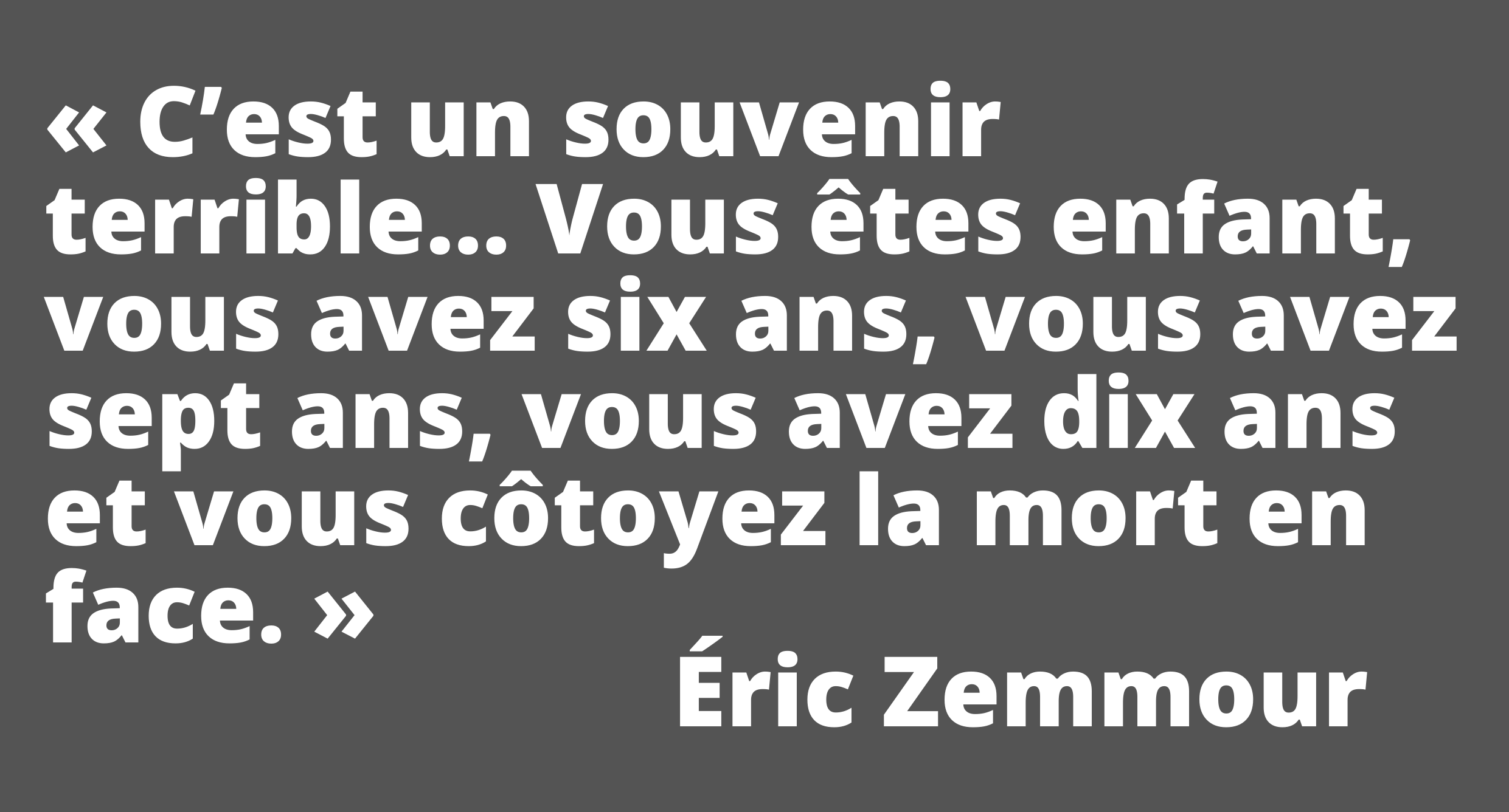 Citation Eric Zemmour Lucette